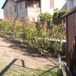 DSCF2371