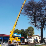 DSCF1790