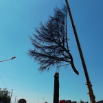 DSCF1803