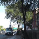 DSCF2544