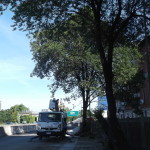 DSCF2545